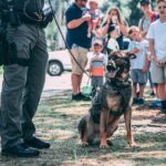 Do police dogs get paid? A Police dog with policemen and children in the background.