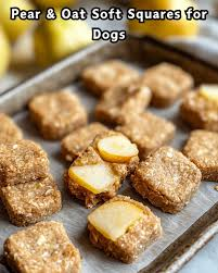 Homemade Cinnamon Sunflower Pear Dog Treats