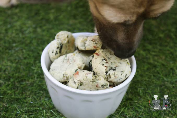 Homemade Creamy Chicken and Cilantro Dog Treats