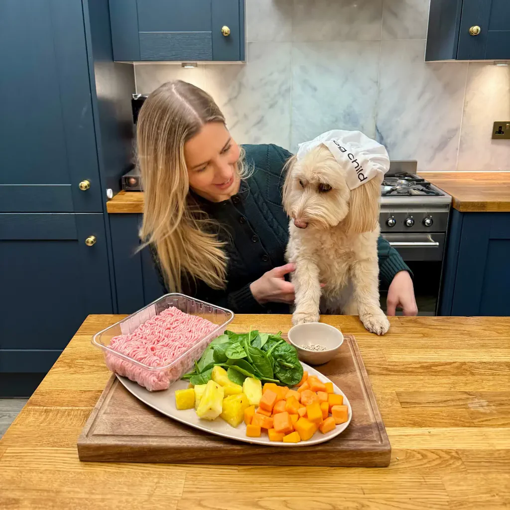 Pork and Pineapple Dog Food Recipe