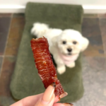 Easy Oven-Baked Beef Jerky Dog Treats Your Pup Will Love