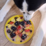 Doggie Salmon Lick Mat Recipe