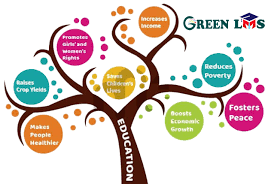 The Importance of Emotional Intelligence in Education